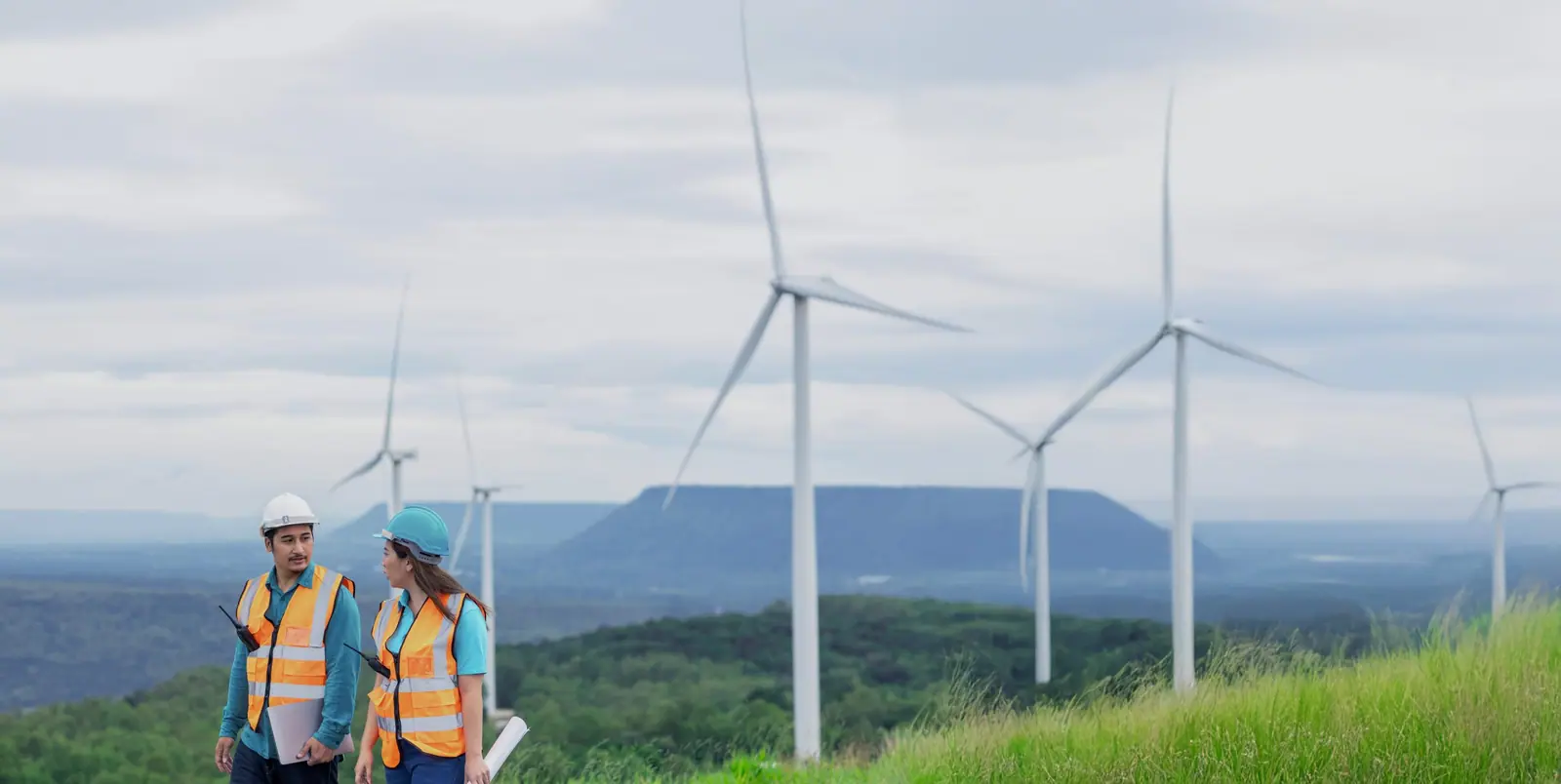 Energy Sector Recruitment