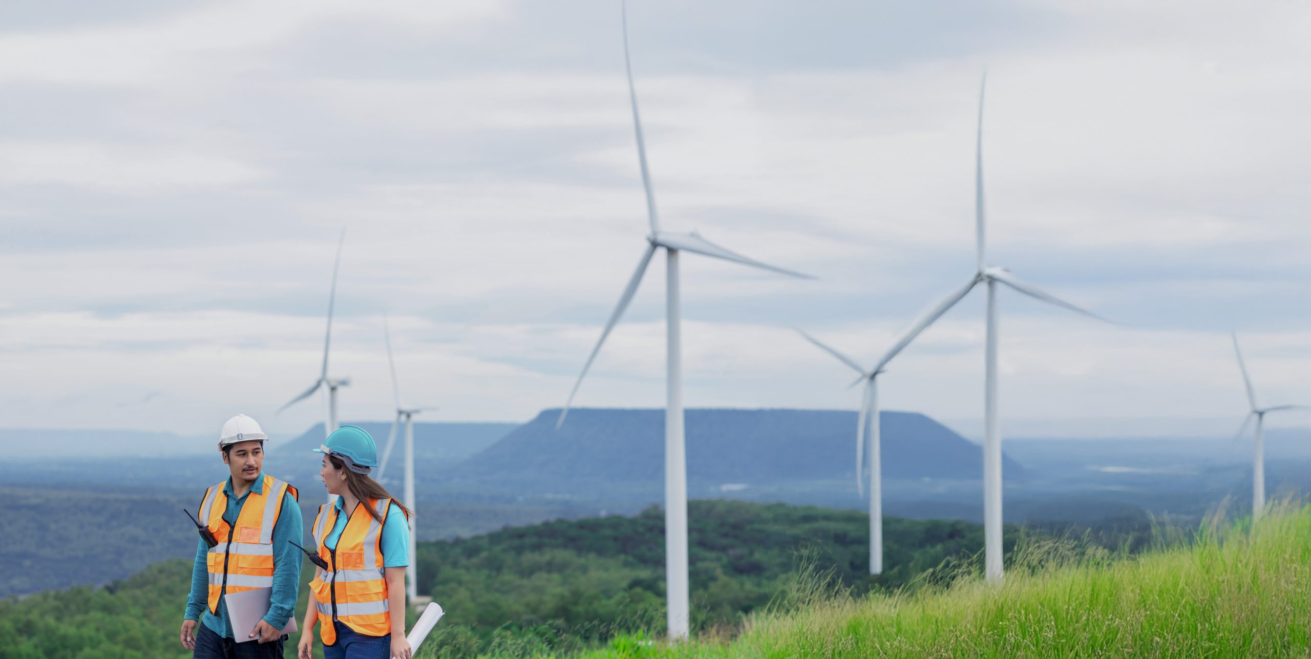 Energy Sector Recruitment